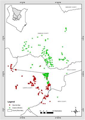 Modeling Invasive Plant Species in Kenya’s Northern Rangelands